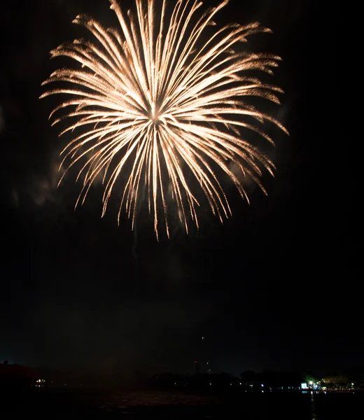 Belos fogos de artifício como palma à noite — Fotografia de Stock