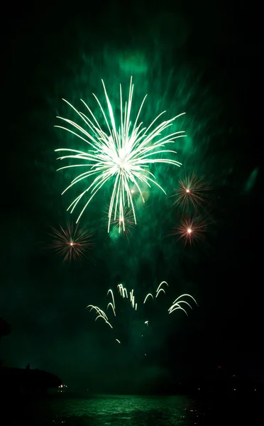 Hermosos fuegos artificiales como la palma en la noche — Foto de Stock