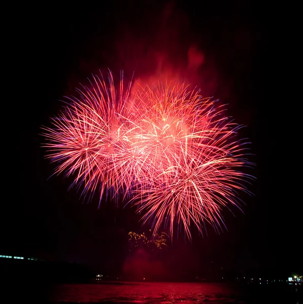 Bellissimi fuochi d'artificio come palma di notte — Foto Stock