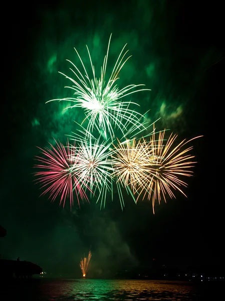 Hermosos fuegos artificiales como la palma en la noche — Foto de Stock