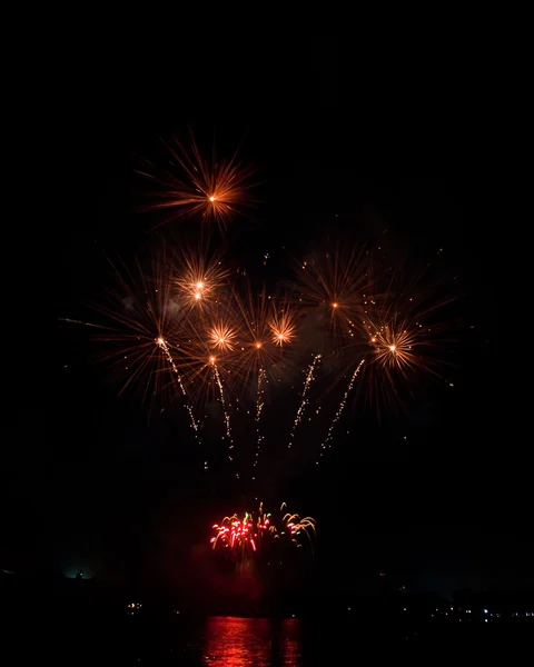 Belos fogos de artifício como palma à noite — Fotografia de Stock