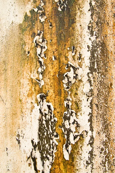 Textura da parede velha — Fotografia de Stock
