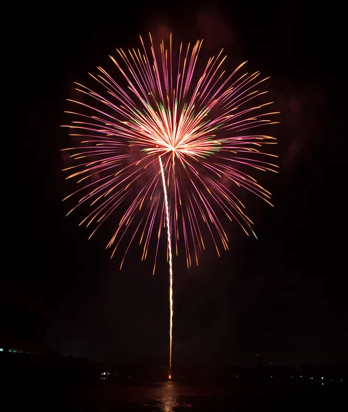 Hermosos fuegos artificiales como la palma en la noche — Foto de Stock