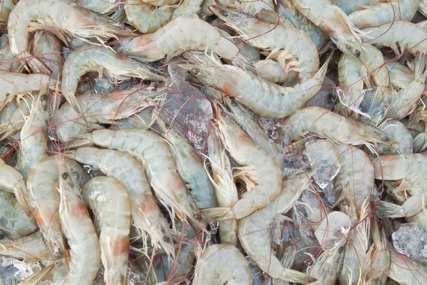 Frische Garnelen auf dem Fischmarkt, östlich von Thailand — Stockfoto