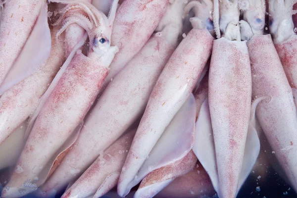 Frische Tintenfische auf dem Fischmarkt, östlich von Thailand — Stockfoto