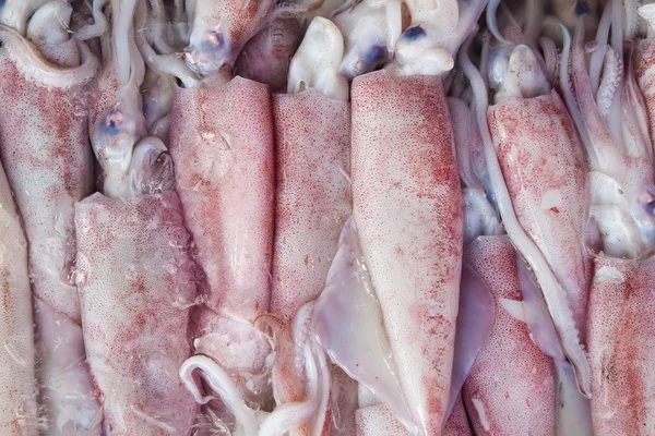 Tuoreet kalmarit äyriäistorilla, Thaimaasta itään — kuvapankkivalokuva