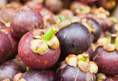 una pieza del rompecabezas