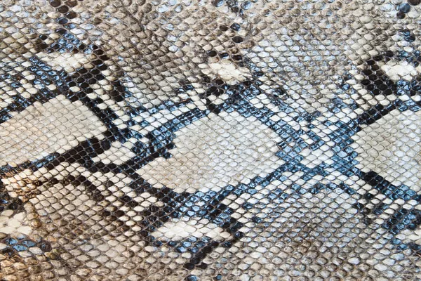 Snake skin pattern texture background — Stock Photo, Image