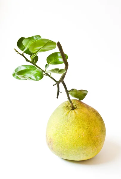 Pomelo fruit with leaves isolated on white background — Stock Photo, Image