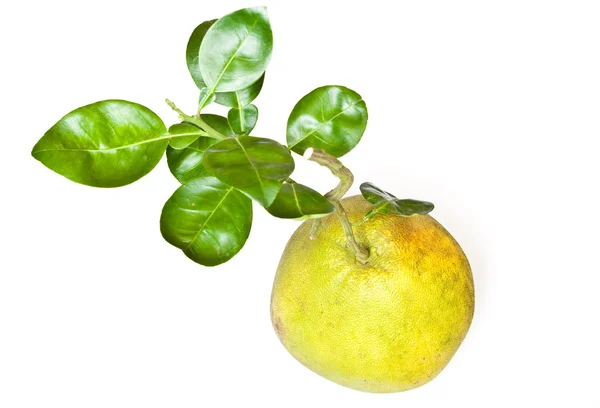 Pomelo fruit with leaves isolated on white background — Stock Photo, Image