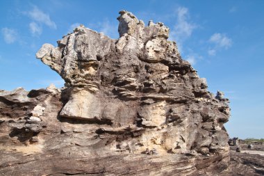 domuz taş ve mavi gökyüzü, ulusal domuz gibi doğal taş