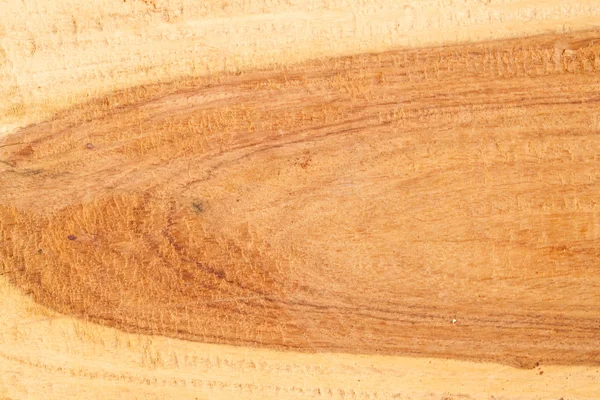 Wood Texture from Tropical Tree — Stock Photo, Image