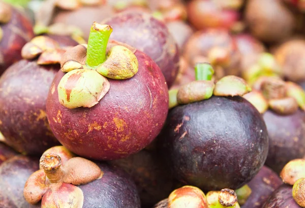 Tropical Fruit,Mangosteen Queen of fruit in Thailand — Stock Photo, Image