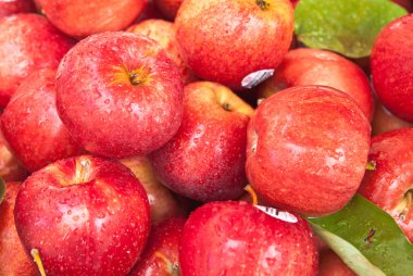 Kırmızı olgun elma damla ile bir sürü