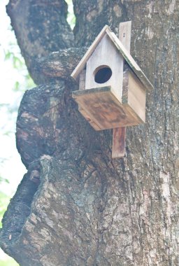 bir ağaçta kuş evi