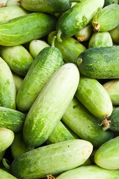 Stapel van komkommer in verse markt, Aziatische stijl groente, sluiten — Stockfoto