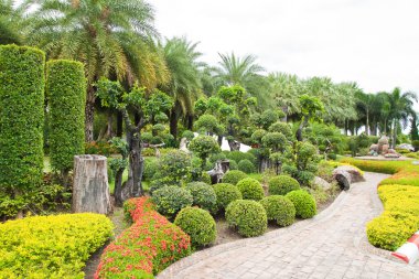 yol ve cüce ağacı bahçede yürümek.