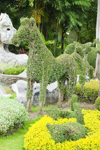 Dwarf into horse in the park. — Stock Photo, Image