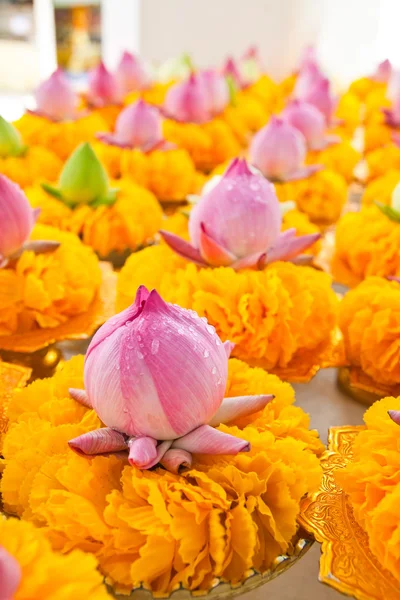 Row of lotus and yellow flower garlands on tray with pedestal in — Stock Photo, Image