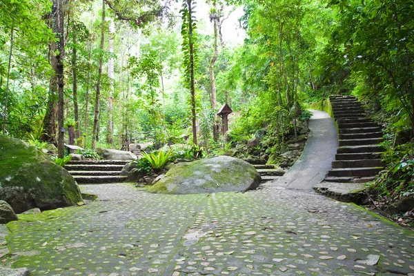 Promenad sätt i namtokphlio nationalpark, chantaburi provinsen, thai — Stockfoto