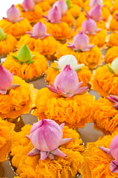 Fila de lótus e guirlandas de flores amarelas na bandeja com pedestal em — Fotografia de Stock