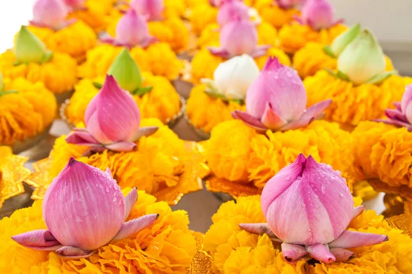 Rangée de guirlandes de lotus et de fleurs jaunes sur plateau avec piédestal — Photo