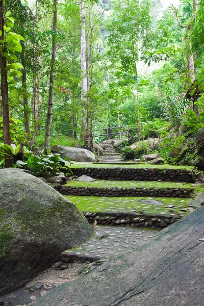 Chemin de randonnée dans le parc national de Namtokphlio, province de Chantaburi, Thaïlande — Photo