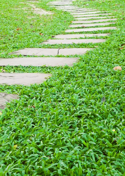 Stone walk way on green grass in the garden. — Stock Photo, Image