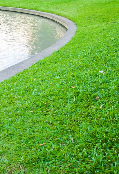 L'étang et l'herbe verte dans le jardin. — Stock fotografie