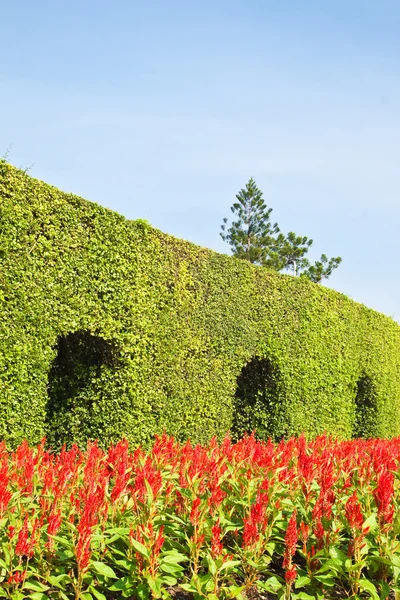 Classic garden och blå himmel — Stockfoto