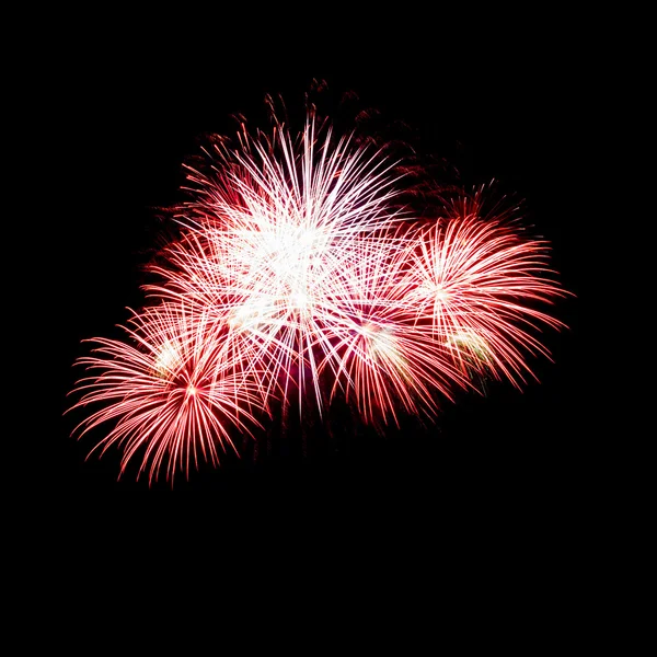 Fuochi artificiali — Foto Stock