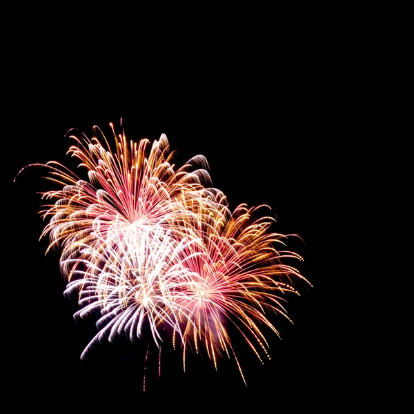 Feuerwerk — Stockfoto