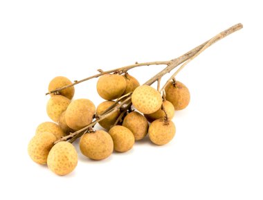 Longan