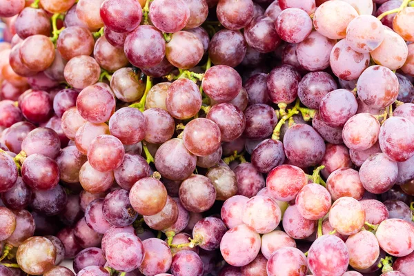 Red grapes — Stock Photo, Image