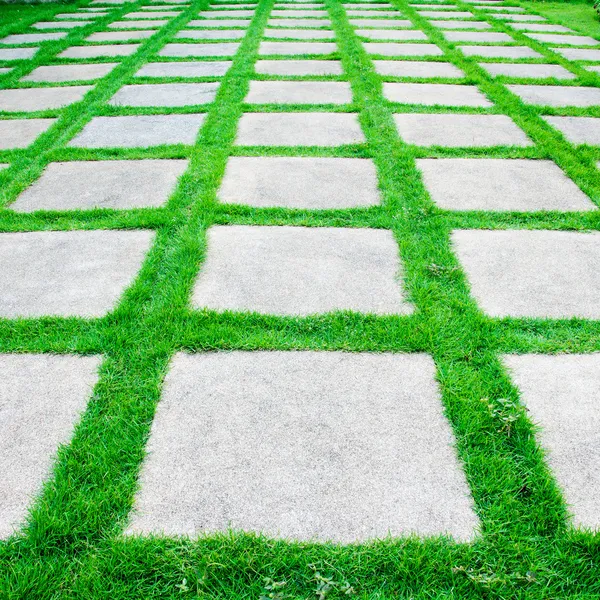 Zöld fű növekedési cement sétány között — Stock Fotó