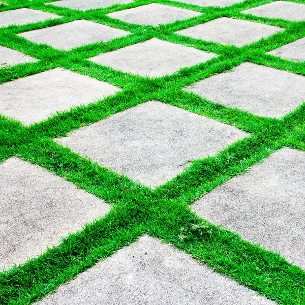 Green grass growth between cement walkway — Stock Photo, Image