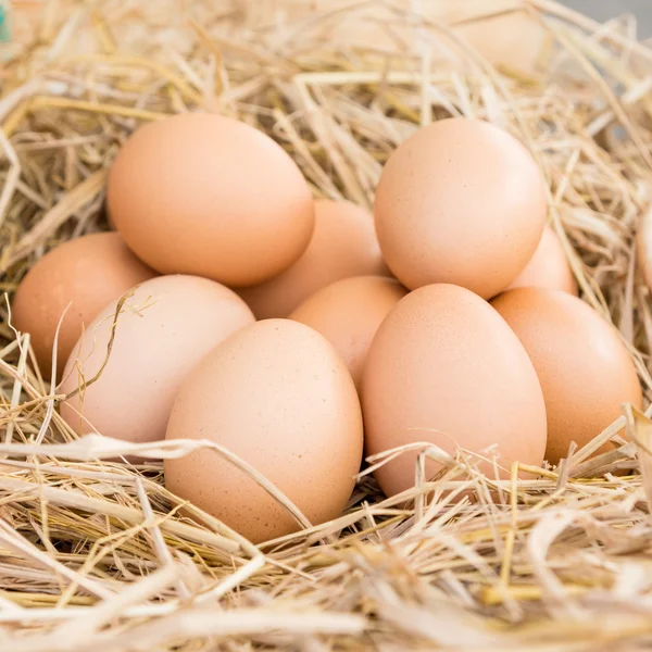 Huevos en un nido de paja —  Fotos de Stock