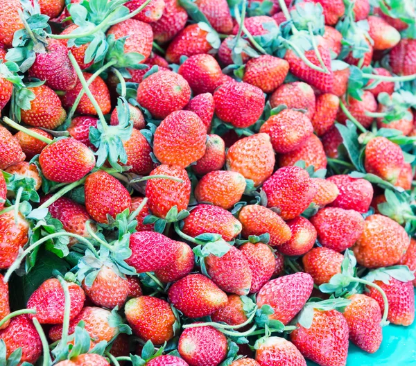 Aardbeien — Stockfoto