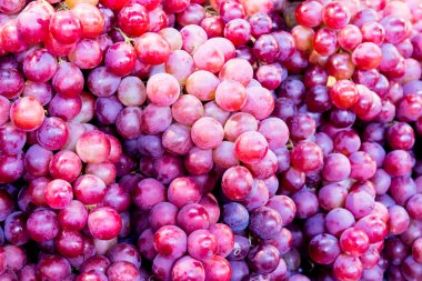 Kırmızı üzümler