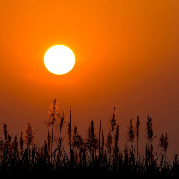 Zonsopgang — Stockfoto