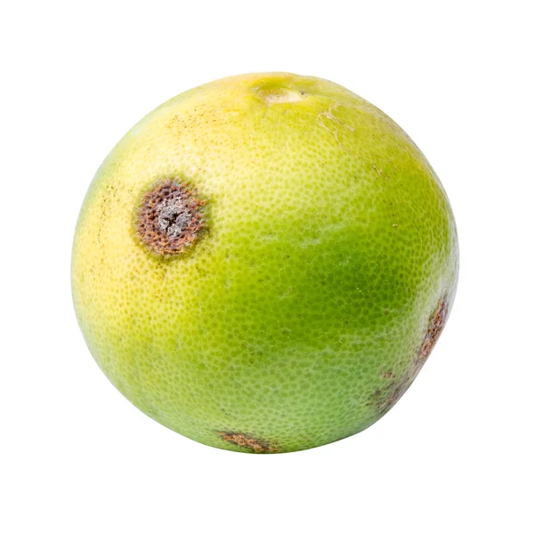 Citron — Stockfoto