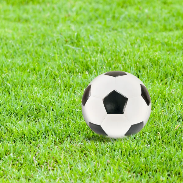 Pallone da calcio su erba verde — Foto Stock