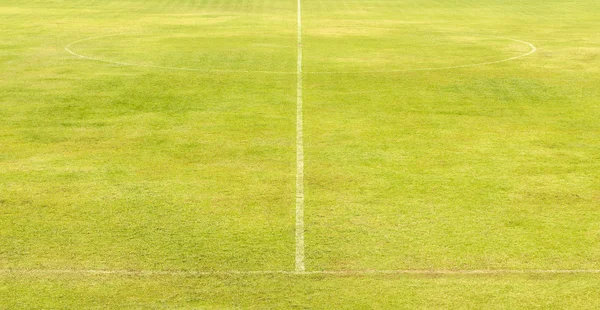 Groene voetbalveld Stockfoto