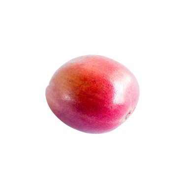 taze çiğ kahve çekirdekleri 