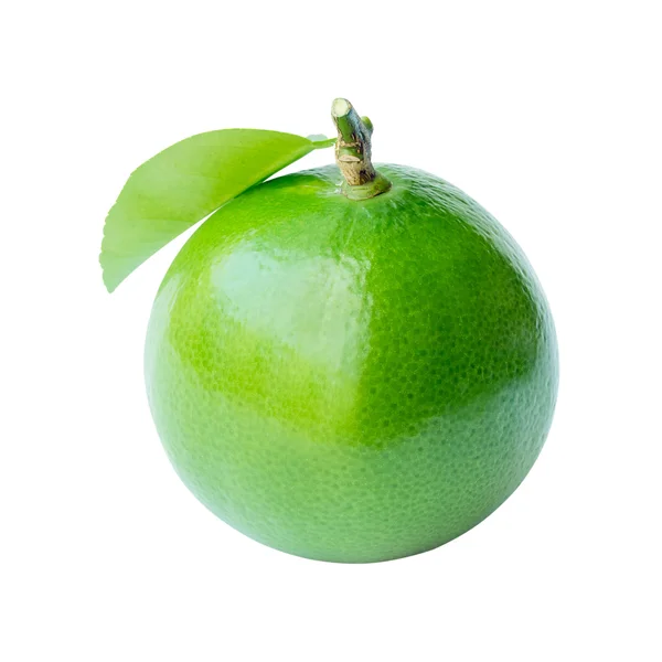 Citrus lime fruit — Stock Photo, Image