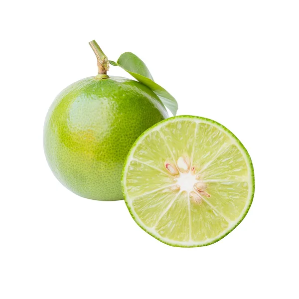 Citrus lime fruit — Stock Photo, Image