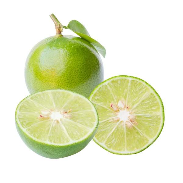 Citrus lime fruit — Stock Photo, Image
