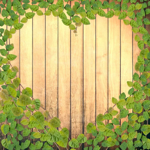 green creeper plant shaped as heart on wood plank