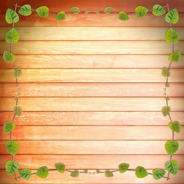 green creeper plant frame on  wood plank