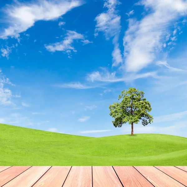 Boom op groen grasveld met blauwe hemel en houten plank — Stockfoto